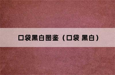 口袋黑白图鉴（口袋 黑白）
